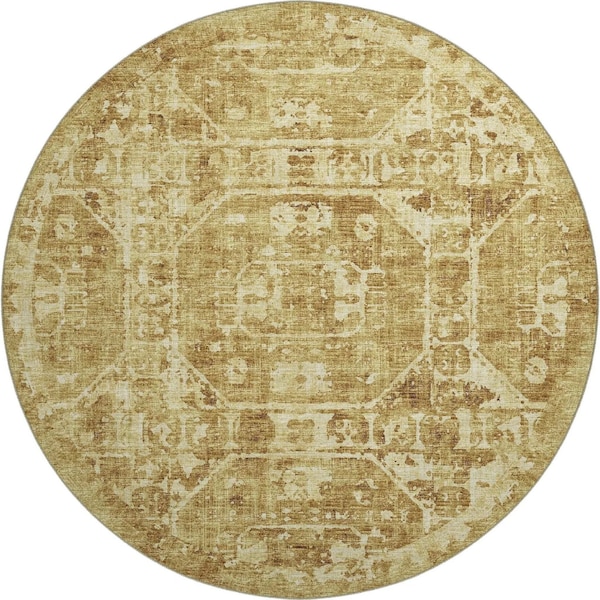 Aberdeen AB2 Gold Rug